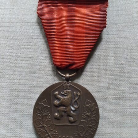 Vyznamenani Za Sluzbu Vlasti