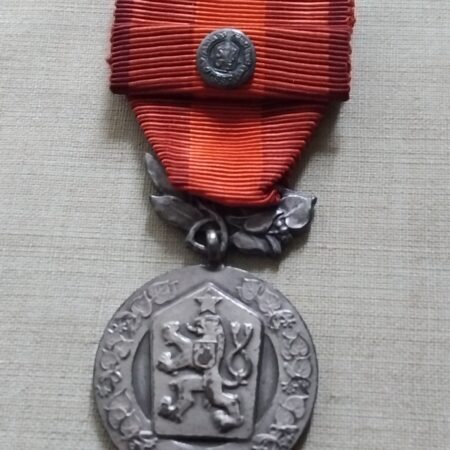 Vyznamenani Za zasluhy o Obranu Vlasti